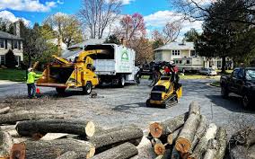 Best Firewood Processing and Delivery  in Greenport West, NY